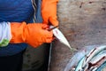 Detail of hands in orange gloves that are gutting small fish. By the fish processing it is necessary to pull the guts out