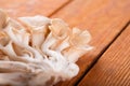 Detail of healthy Oyster mushroom placed on wooden board