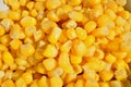 Detail of a heap of yellow corn maize as a symbol of sweet healthy organic vegetable