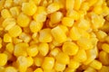 Detail of a heap of yellow corn maize as a symbol of sweet healthy organic vegetable