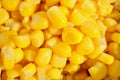 Detail of a heap of yellow corn maize as a symbol of sweet healthy organic vegetable