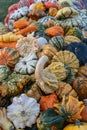 Detail of Heirloom Gourds & Pumpkins