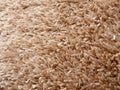 Detail of a high hair carpet texture Royalty Free Stock Photo