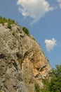 Detail of a high Transylvanian mountain ridge with trees