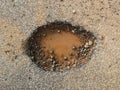 Hole on asphalt road in countryside in rainy season