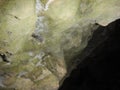 Detail of a hole in a rock wit spider web