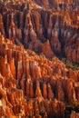Detail on hoodoos - unique rock formations from sandstone made by geological erosion. Taken during sunrise in Bryce National