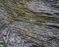Detail of a horizontal fold with a disturbance in the limestone, Muschelkalk of the Bavarian Alps, Triassic
