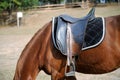 Detail of a horse saddle Royalty Free Stock Photo