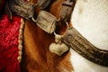 Detail of a horse tack