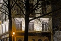 Detail of a house with silhouette of a bare tree at night in Ghent
