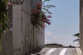 Detail of houses on the island of Tabarca Royalty Free Stock Photo