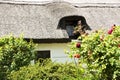 Detail of hungarian farm house in Tihany