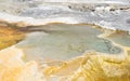 Hydrothermal area of Mammoth Hot Springs, Yellowstone National Park, Wyoming, USA Royalty Free Stock Photo