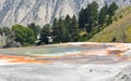 Detail of the hydrothermal area of Mammoth Hot Springs, Yellowstone National Park, Wyoming, USA Royalty Free Stock Photo