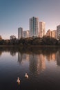 Detail of the IgapÃÂ³ lake in the city of Londrina, southern Brazil, with buildings in the background. Royalty Free Stock Photo