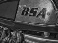 Detail image of a BSA motorcycle fuel tank.