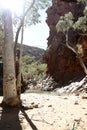 Detail image of Serpentine Gorge