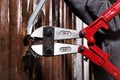 Detail of 30 inch bolt cutters cutting lock of basement private property Royalty Free Stock Photo