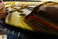 Detail of the interior of a piano with the soundboard, strings and pins Royalty Free Stock Photo