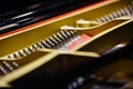 Detail of the interior of a piano with the soundboard, strings and pins Royalty Free Stock Photo