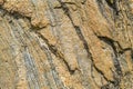 Detail of intricate rock patterns by the side of the road in Idaho, USA