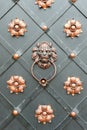 Detail of an iron door Royalty Free Stock Photo