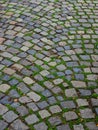 Detail of European Natural Cobble Stones