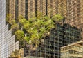 Detail of the jagged facade of Trump Tower building in New York city.