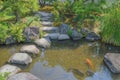 Detail Of A Japanese Garden Royalty Free Stock Photo