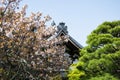 Detail on Japanese temple roof against blue sky during cherry blossom season Royalty Free Stock Photo