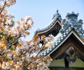 Detail on Japanese temple roof against blue sky during cherry blossom season Royalty Free Stock Photo