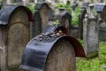 Jewish cemetery in Krakow, Poland Royalty Free Stock Photo