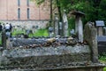 Jewish cemetery in Krakow, Poland Royalty Free Stock Photo