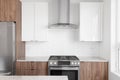 Detail of a kitchen with white and wood cabinets. Royalty Free Stock Photo