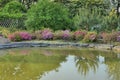 Detail lake landscape park