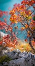 Detail of leaves on a colorful tree. Autumn scenic vertical panorama.