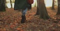 Detail of legs of young woman walk through colorful leaves in a forest during sunset in autumn.slow motion