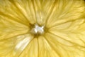 Detail of a lemon Royalty Free Stock Photo