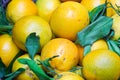 Detail of lemon and lime at basket Royalty Free Stock Photo