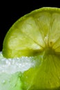 Detail of lemon slice