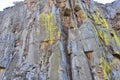 A detail of lichen in Arribes do Douro photo taken near the pier