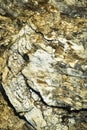 Detail limestone and quartz conglomerates