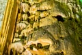 Detail of lluminated cave wall with a lot of amazing natural decorations