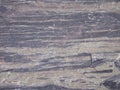 Detail look at Amphibolite stone