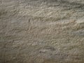 Detail look at Calcareous siltstone stone Royalty Free Stock Photo