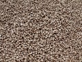 Detail of low quality coal in heap. Crushed anthracite Royalty Free Stock Photo