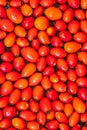 Detail macro view of dog rose hips latin name Fructus cynosbati prepared for drying. Dried rose hips are important source of