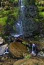 Detail of the Mallyan Spout Waterfall spilling over moss and rocks, Goathland