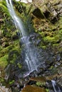 Detail of the Mallyan Spout Waterfall spilling over moss and rocks, Goathland